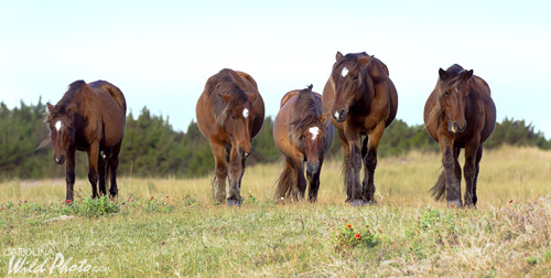 A family group at Rachel Carson Reserve.