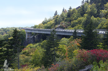 The Linn Cove Viaduct had a spattering of color