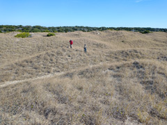 Scanning for horses from atop a dune on Shackleford