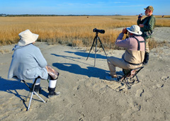 Scanning for horses from atop a dune on Shackleford