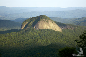 Looking Glass Rock on the Blue Ridge Parkway