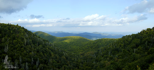 View from an overlook along the Parkway