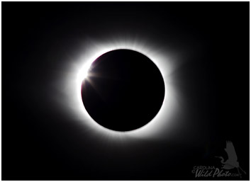 A not so good shot of me checking images during totality. Kinda dark and taken with a tablet camera.