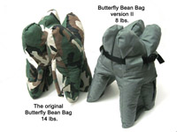 the Butterfly Bean Bag